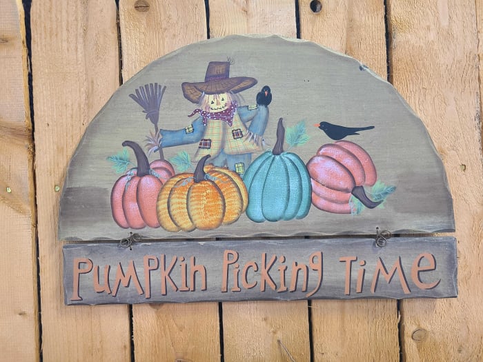 Pumpkin Picking time