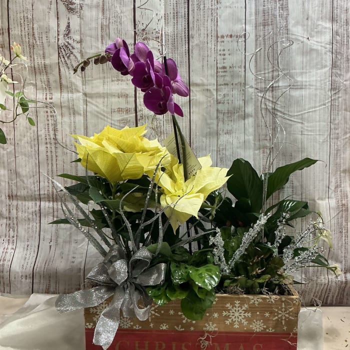 Christmas Plant Box
