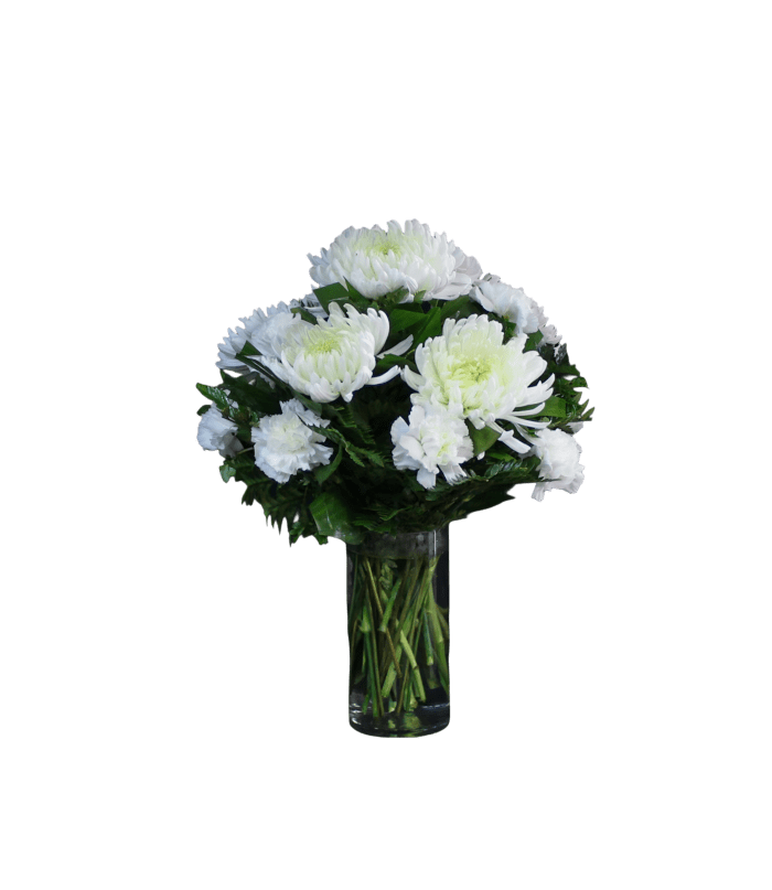 AF-3 Arreglo de spiders y claveles