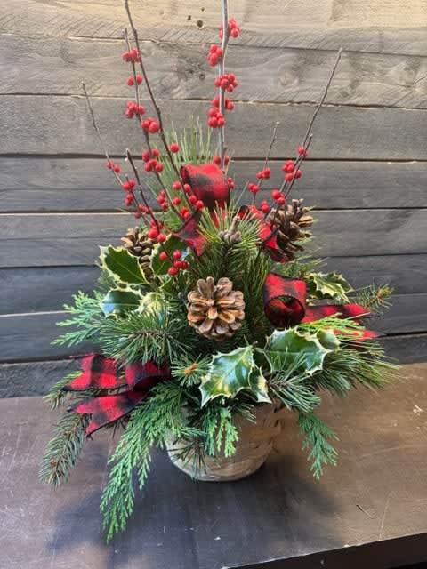 Country Christmas EBF-621