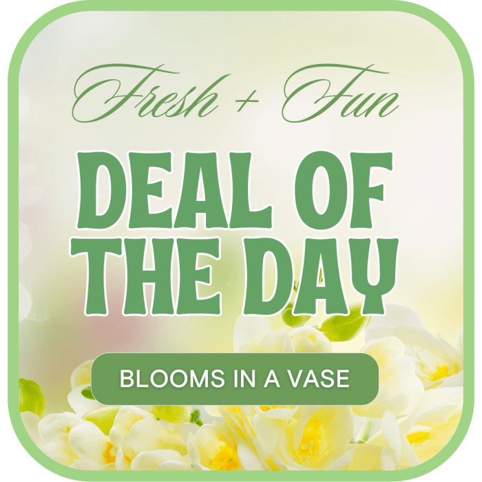 Florist's Deal of the Day