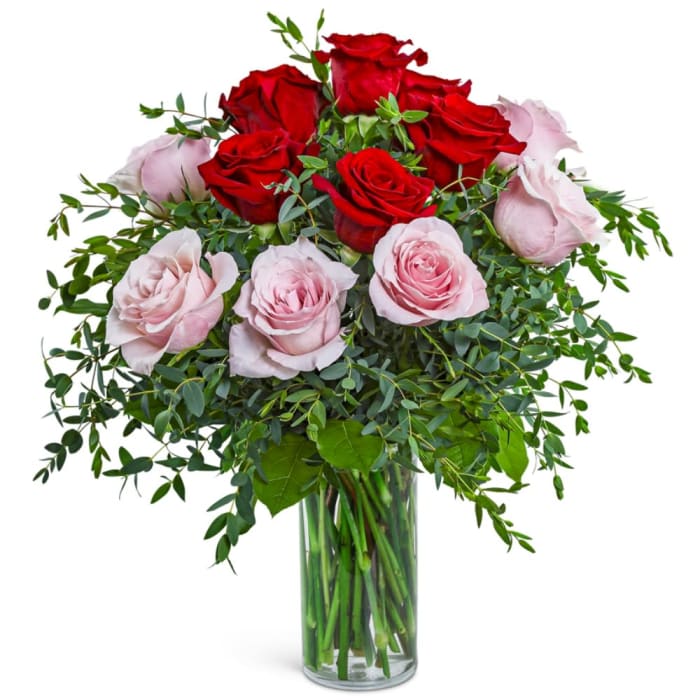 One Dozen Perfect Pink and Red Roses