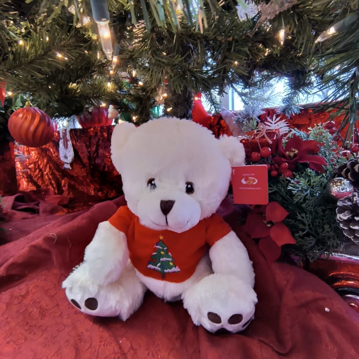 Christmas Teddy