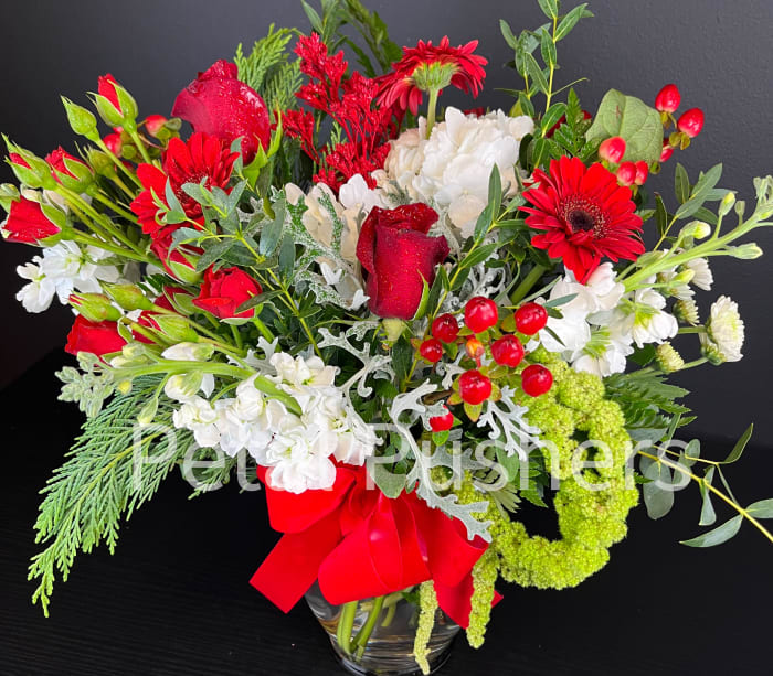 Crimson Winter Elegance