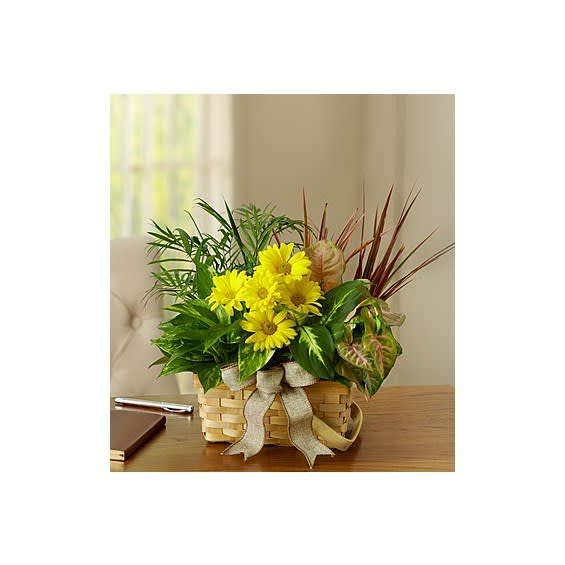 Dish Garden With Fresh Cut Flowers