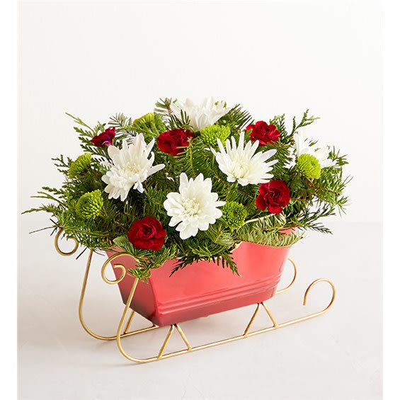 Dashing Through The Snow Sleigh™