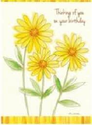 Floral Daisy card