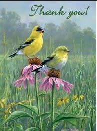Goldfinches & Coneflowers Card