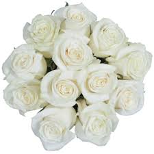 Dozen White Roses