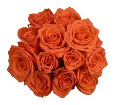 Dozen Orange Roses