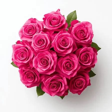 Dozen Hot Pink Roses