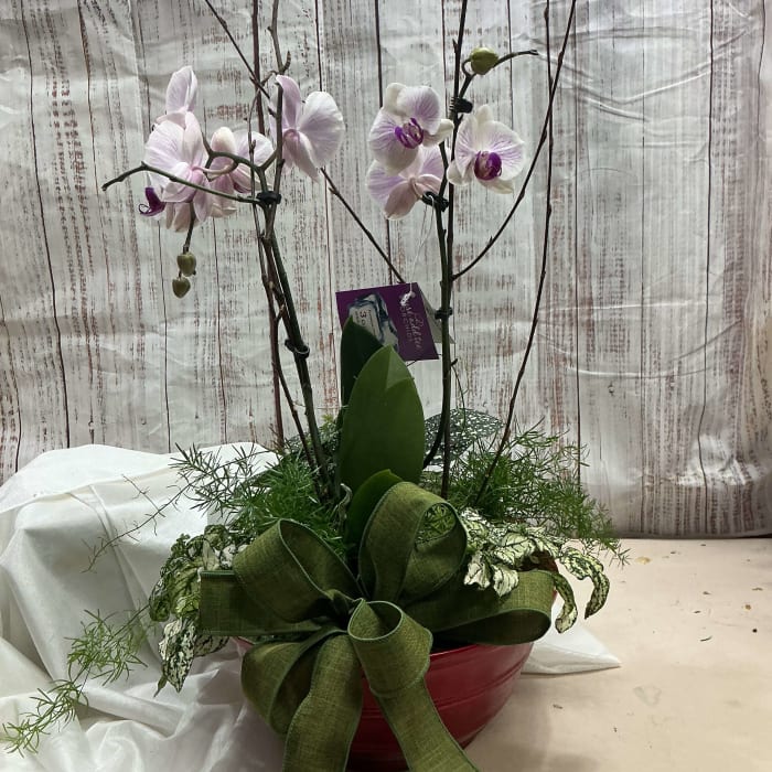 Planter with orchid