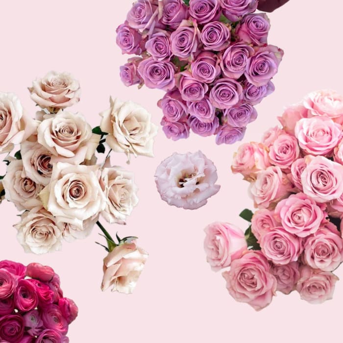 Valentine's Day Designer's Choice