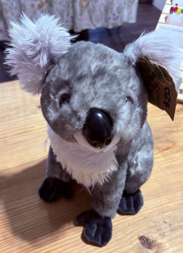 Koala Bear