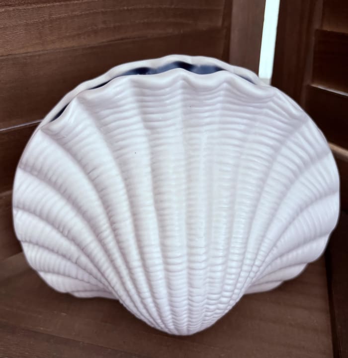 Seashell Vase