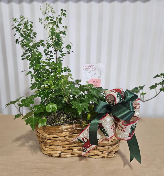 Plant Peanut Basket
