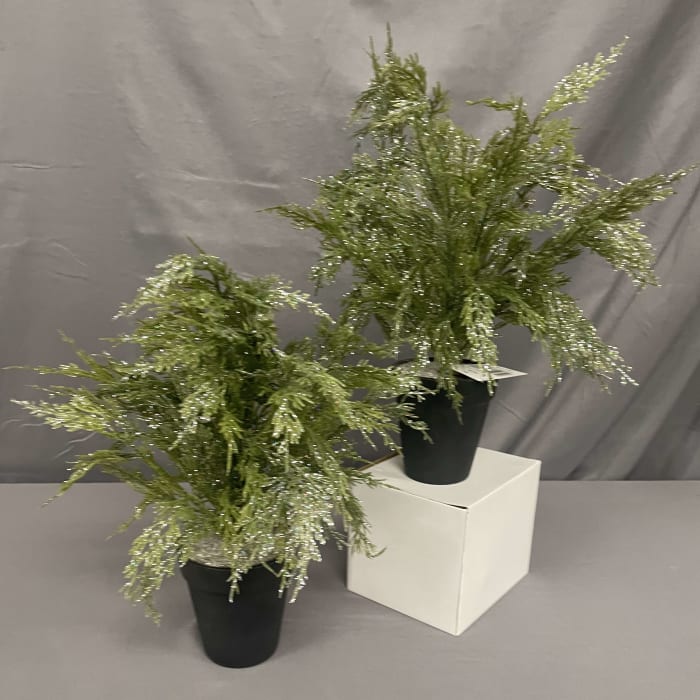Small Sparkle Cedar Tree