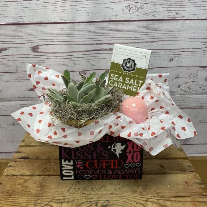 Mindful Moments Plant Gift Set