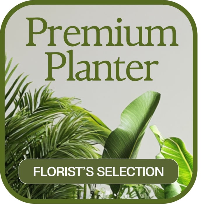 Designer's Choice Premium Planter