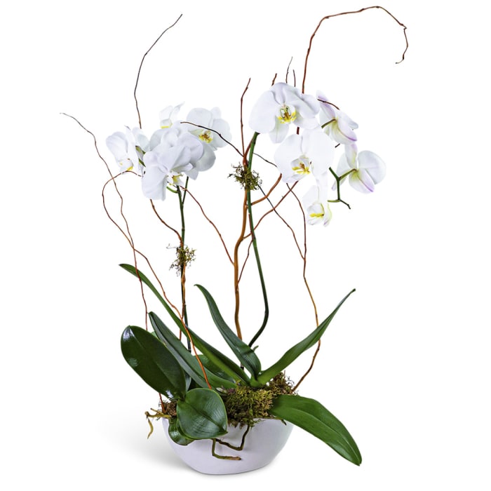 Luxe Double Orchid