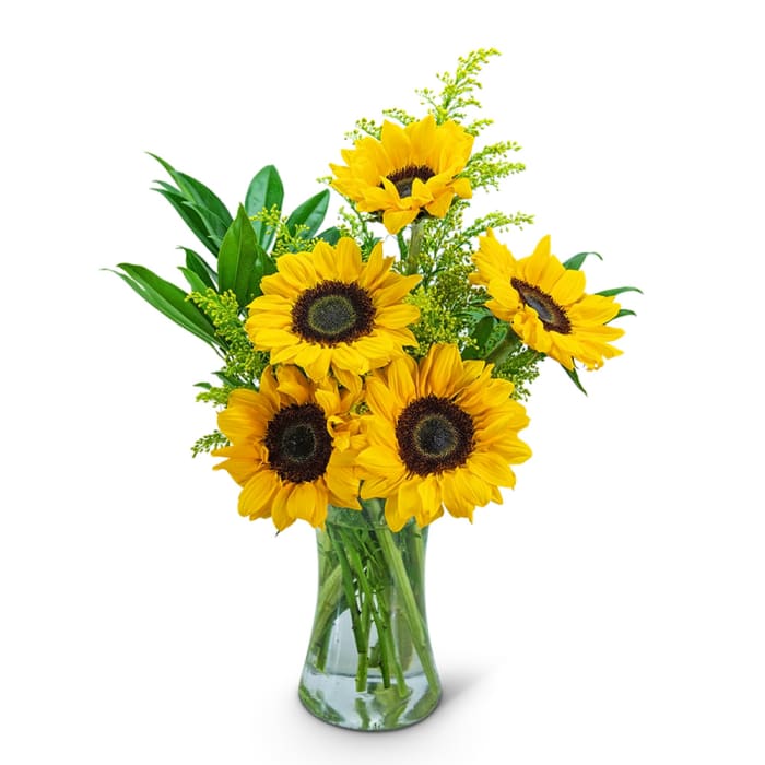 Sunflower Sunshine