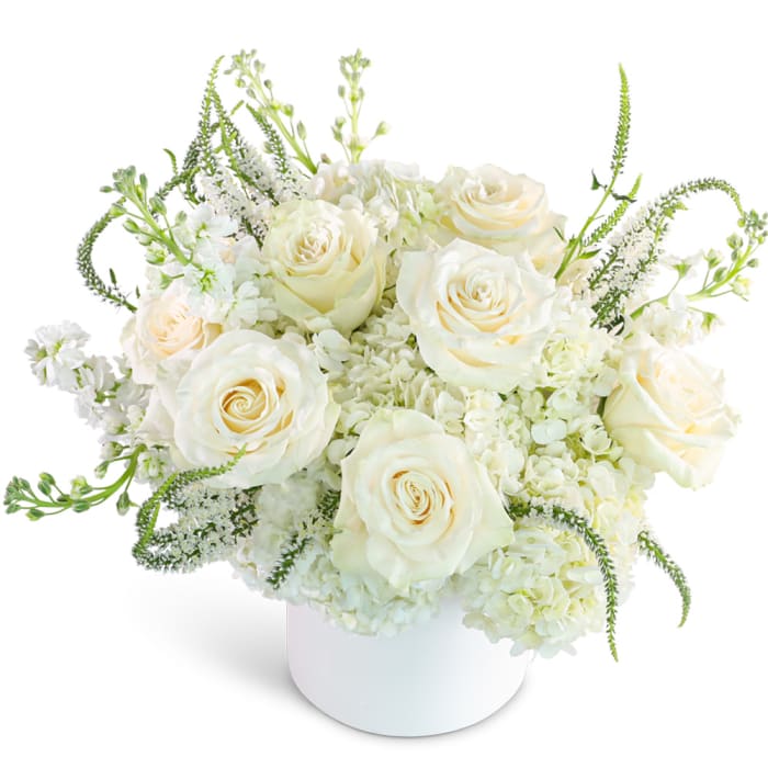 Chantilly Creme
