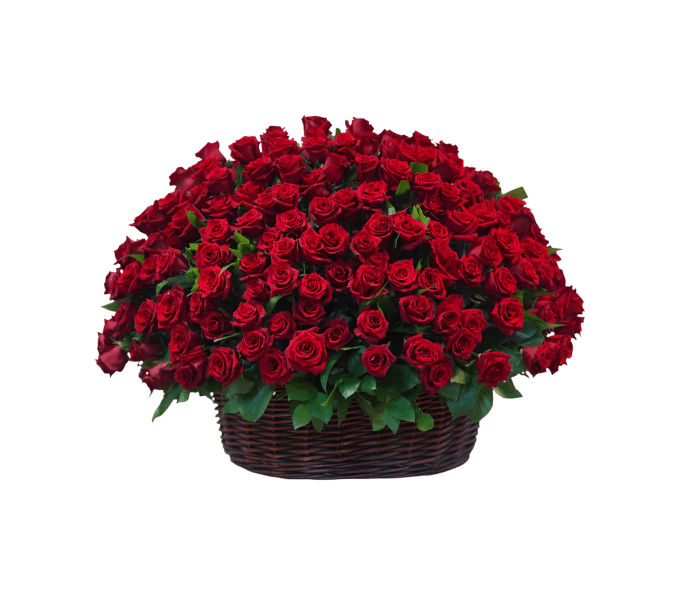 SV-100 Arreglo de rosas rojas