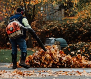 Fall Clean Up