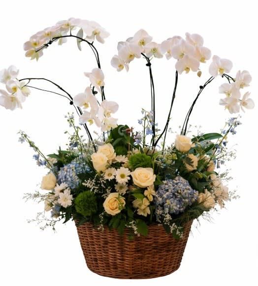 Orchid Garden Basket