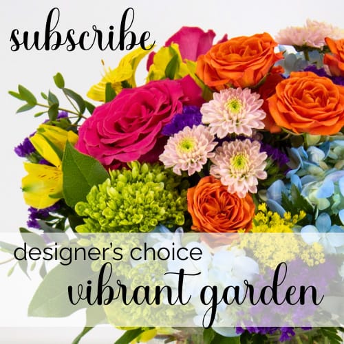 Designer's Choice - Vibrant Garden Subscription