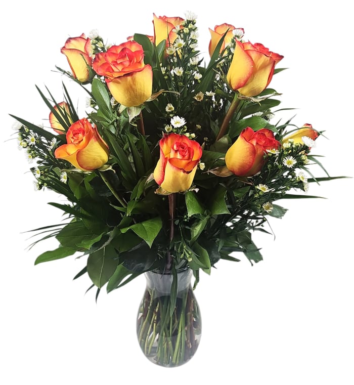 High Magic Premium Roses