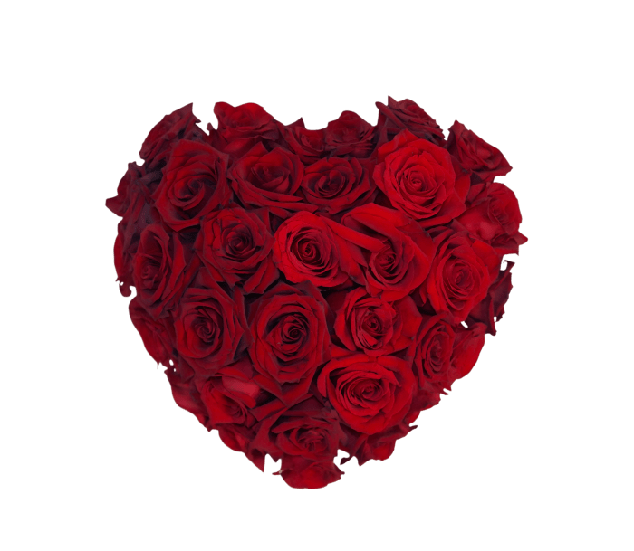 VA-13 Corazón de rosas