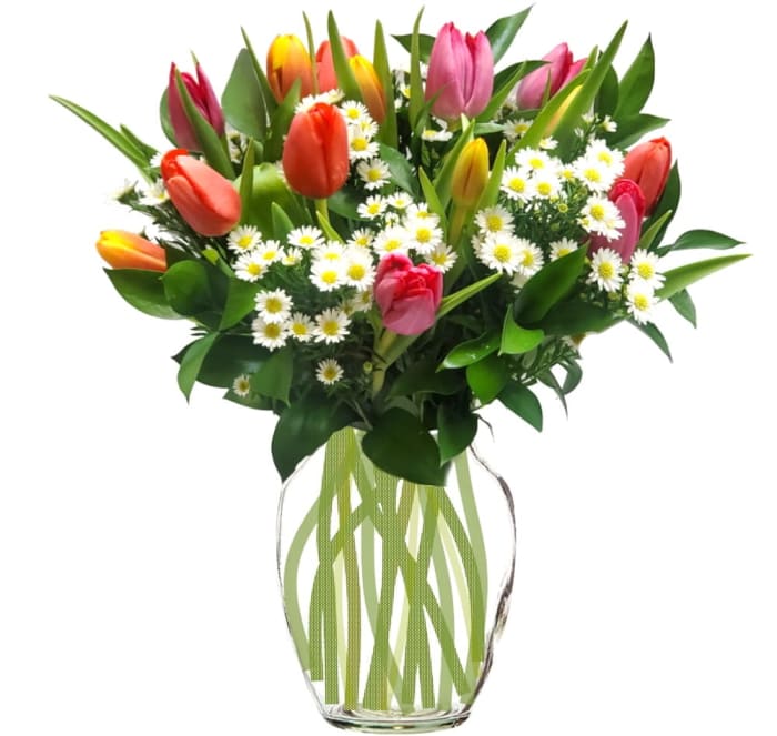 Spring Double Tulips (Colors Vary)