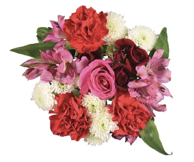 Valentine- Hearts Of Love