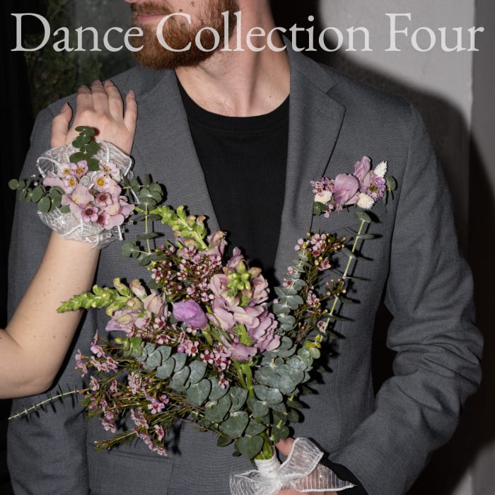 Dance Collection Four