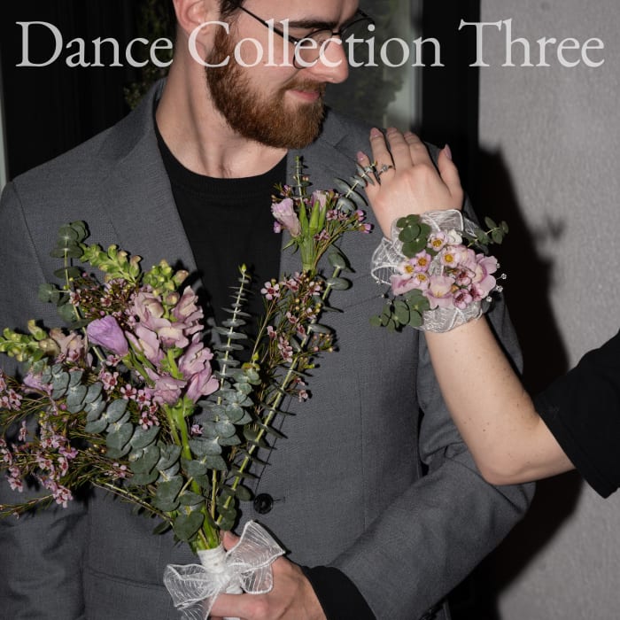 Dance Collection Three