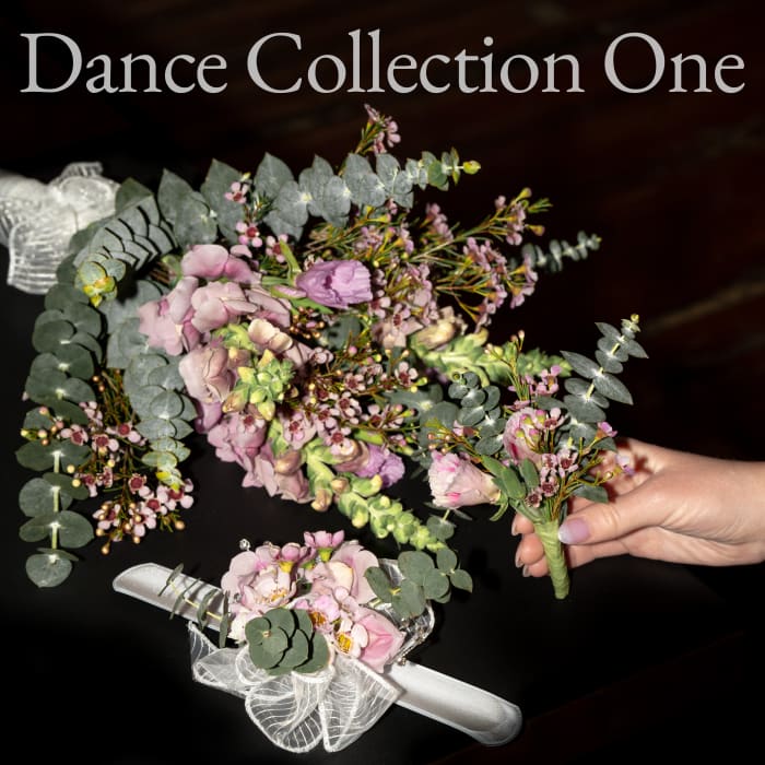 Dance Collection One