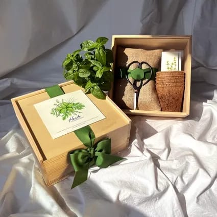New Culinary Herb Garden Box | Valentine