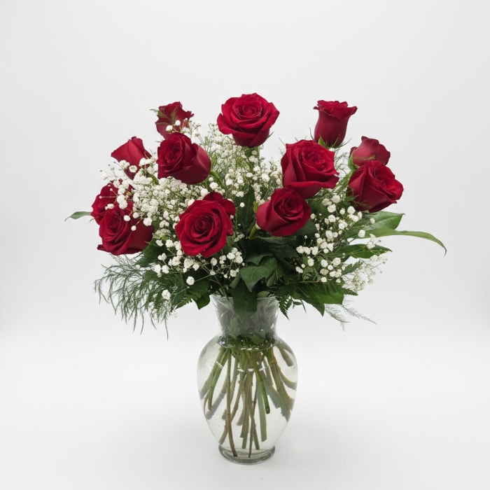 1 Dozen Rose Elegance