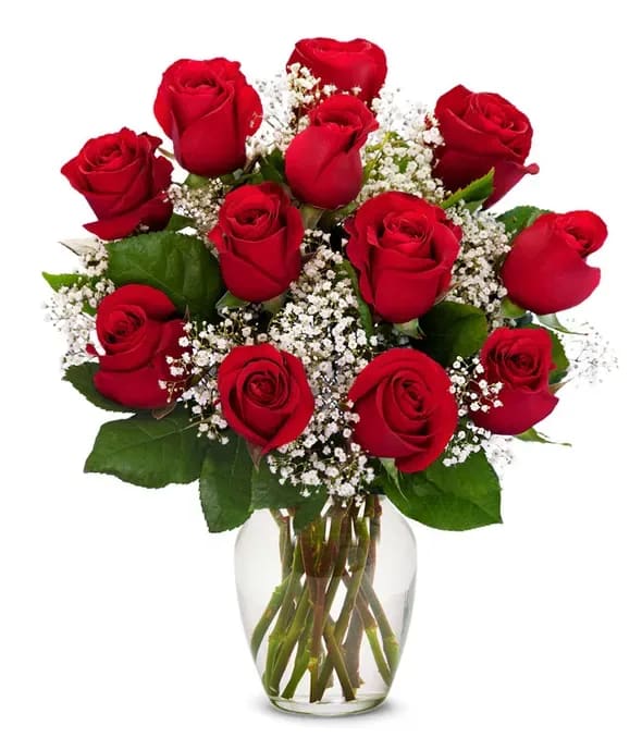 DOZEN ROSES IN A VASE