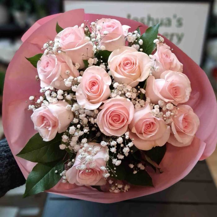 Long stem One Dozen Roses