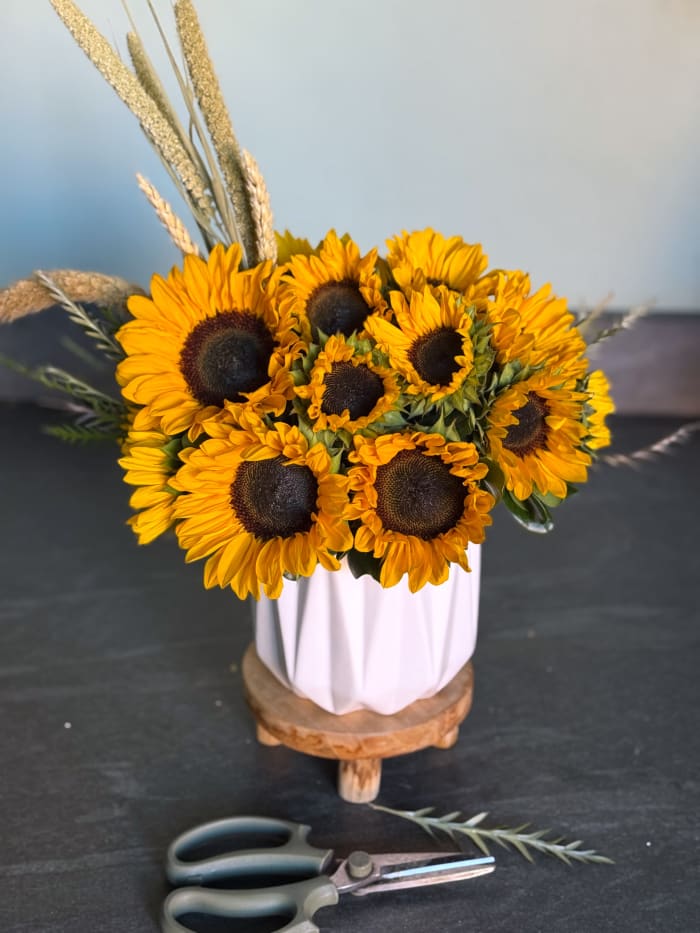 Endless Summer Sunflower