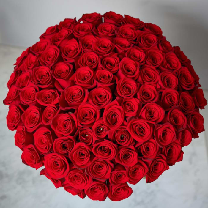 100 Red Roses