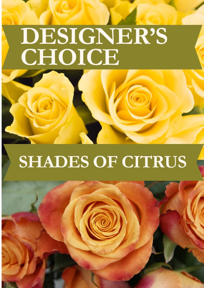 SHADES OF CITRUS