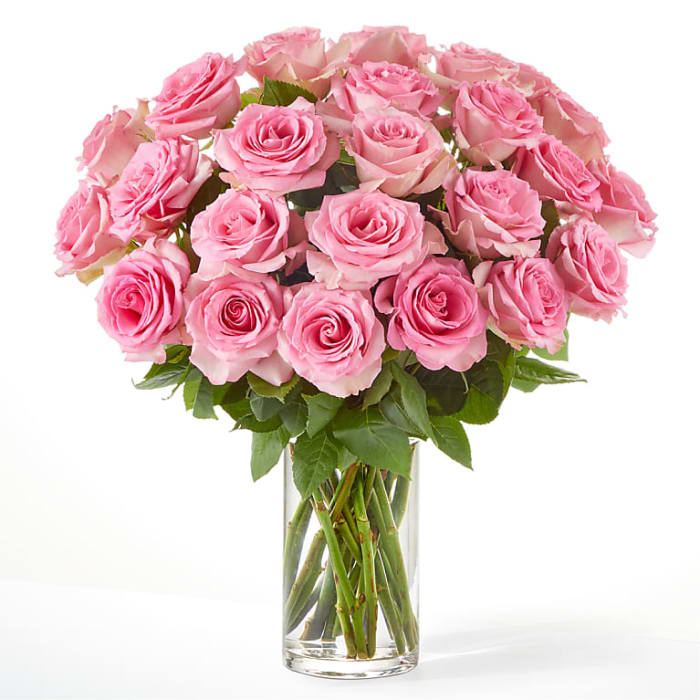 PINK ROSES IN A VASE