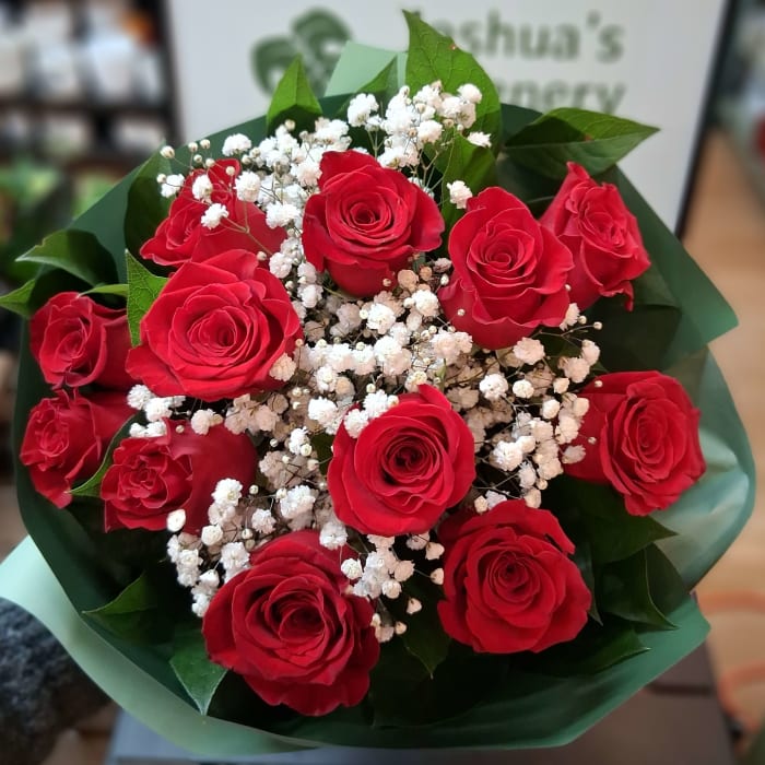 Long stem one dozen Red roses