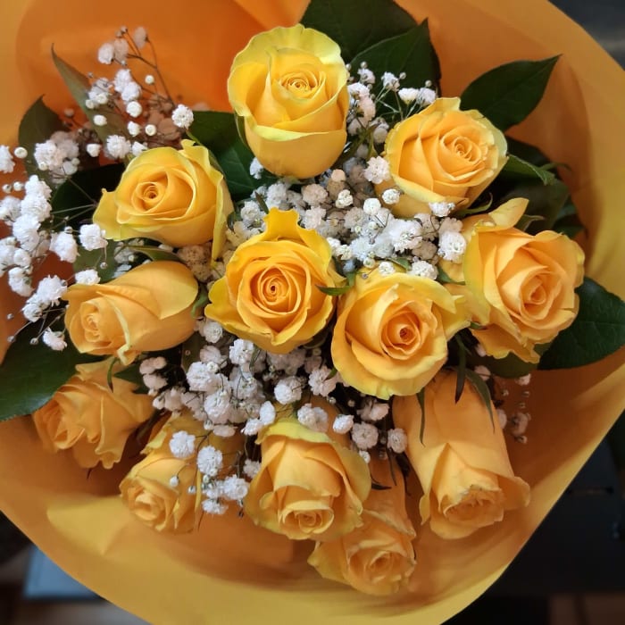 Long stem one dozen Yellow roses