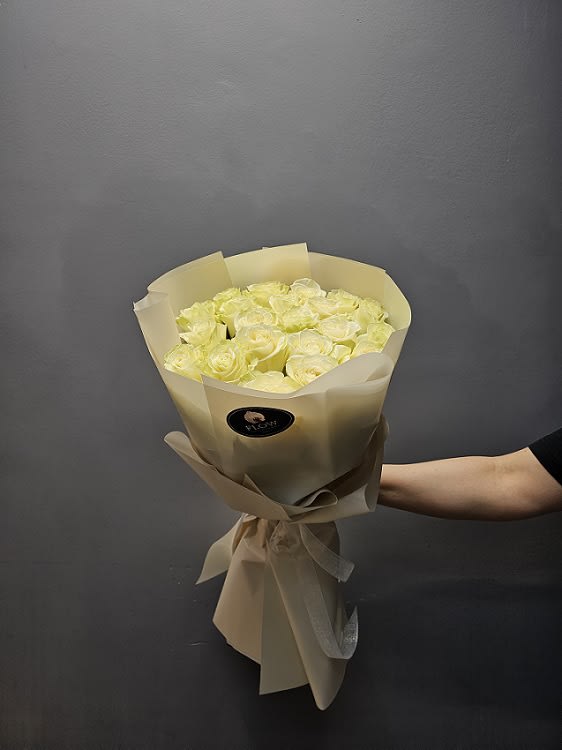 24WHITE ROSE
