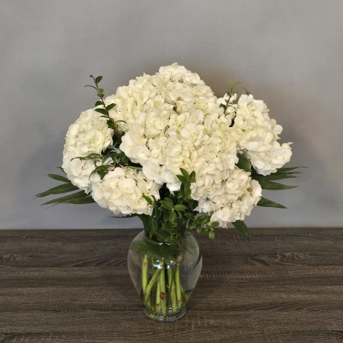 HYDRANGEA VASE