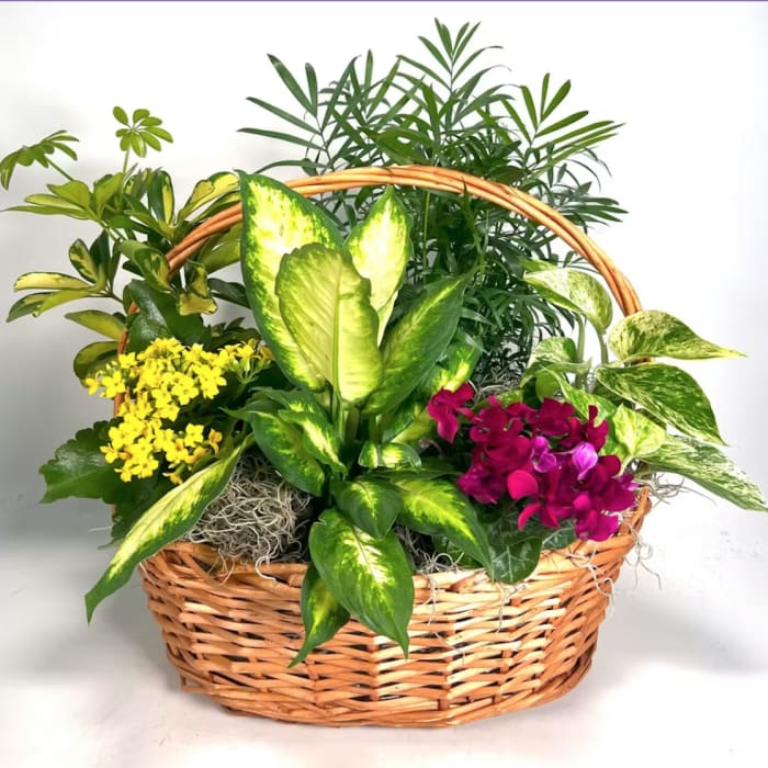 Emerald Garden Basket